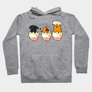 Funny Easter Egg Surprise Puppies and Chicken Hoodie